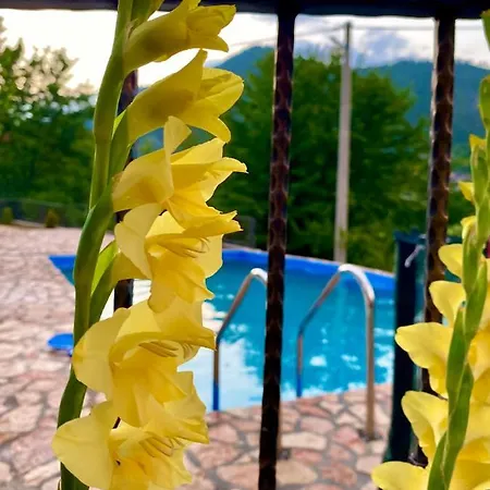 Neretva River Holiday home *